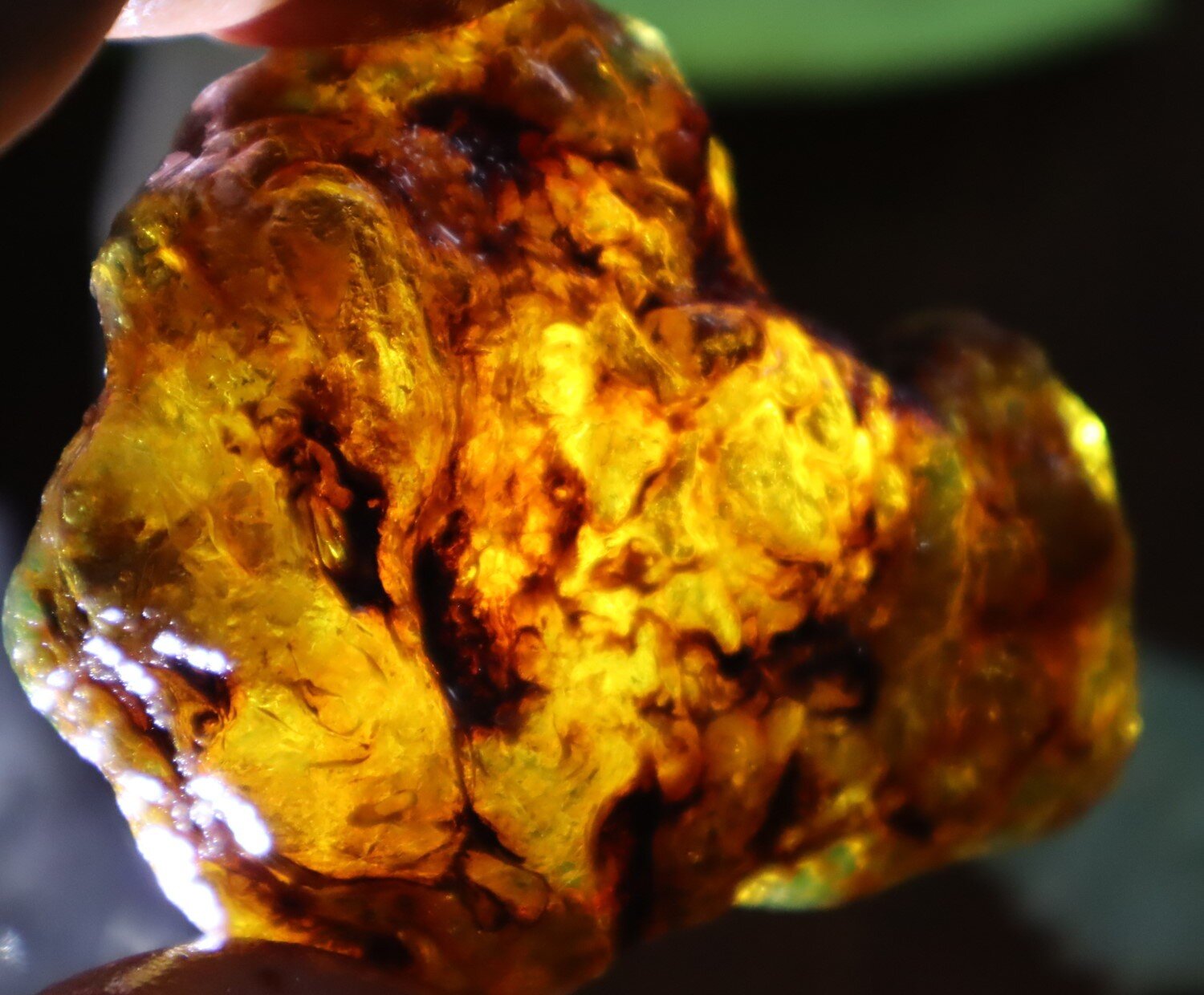 Beautiful Natural Dominican Translucent Green Blue Amber Rough Specimen 66mm 35g – photo 9