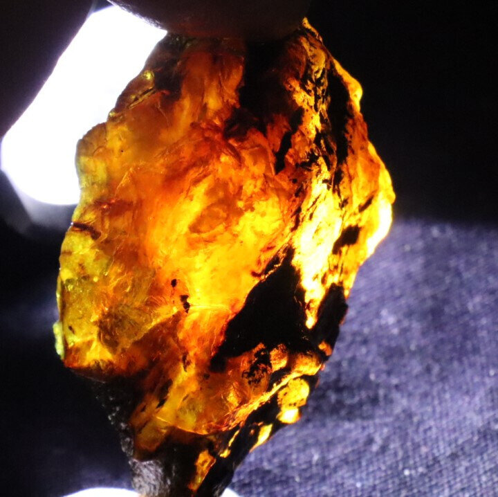 Exquisite Natural Dominican Clear Orange Blue Amber Rough Specimen 50mm 17.8g – photo 7