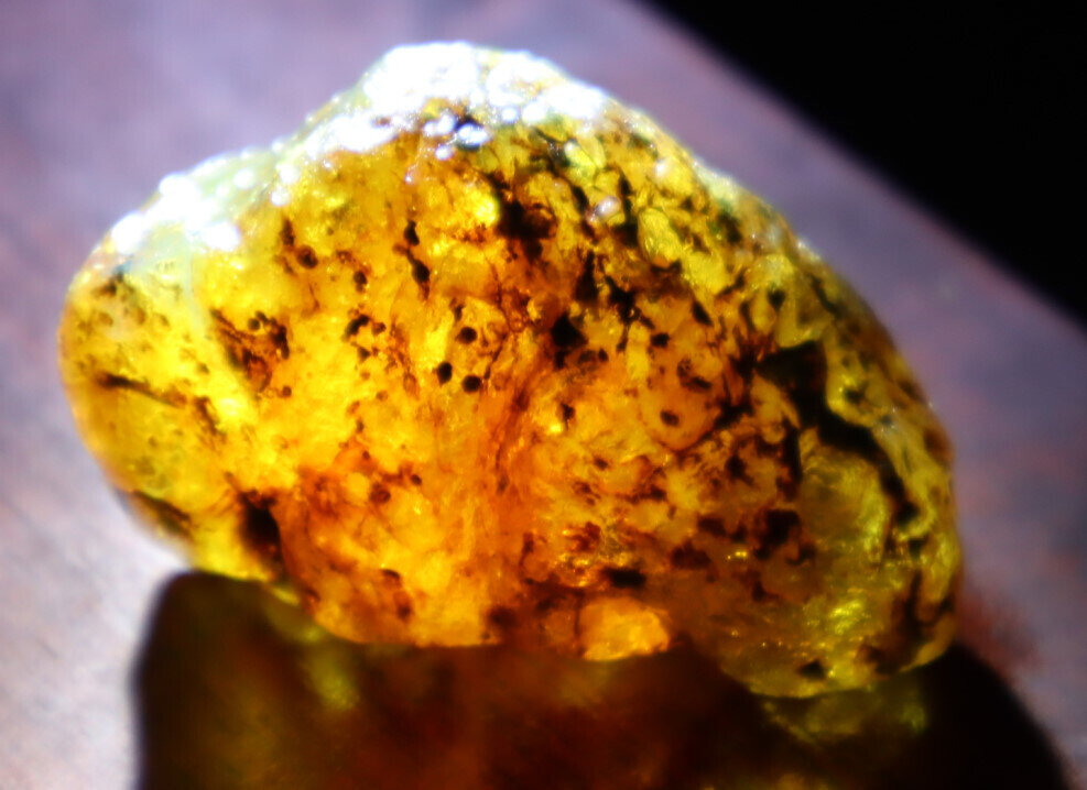 Excellent Natural Dominican Crystal Clear Yellow Amber Rough Specimen 46mm 14g – photo 11