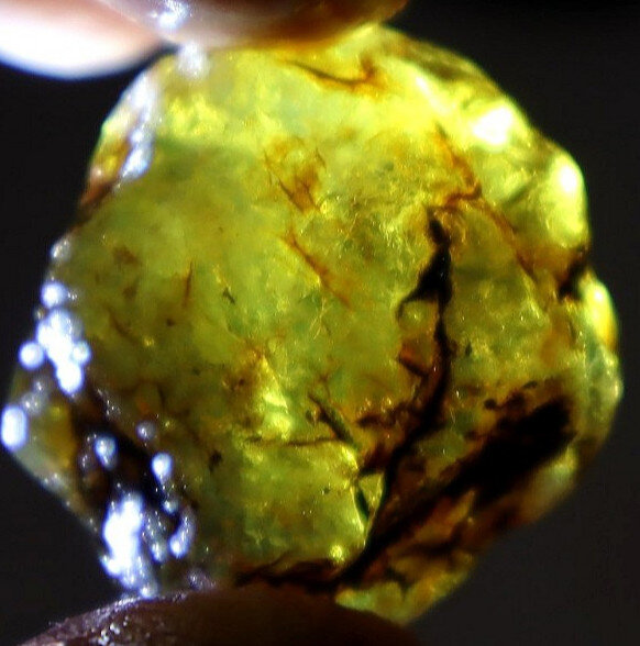Natural Dominican Blue Amber Rough Specimen 32mm 7.7g Green Orange – photo 8