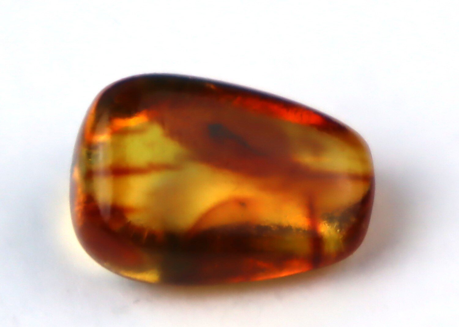 Natural Dominican Amber Insect Fossil – Polished Stone – photo 4