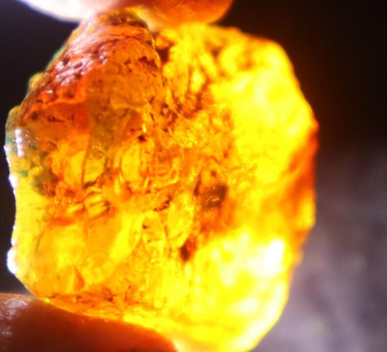Exquisite Natural Dominican Clear Sky Blue Amber Rough Specimen 44mm 9.7g – photo 12