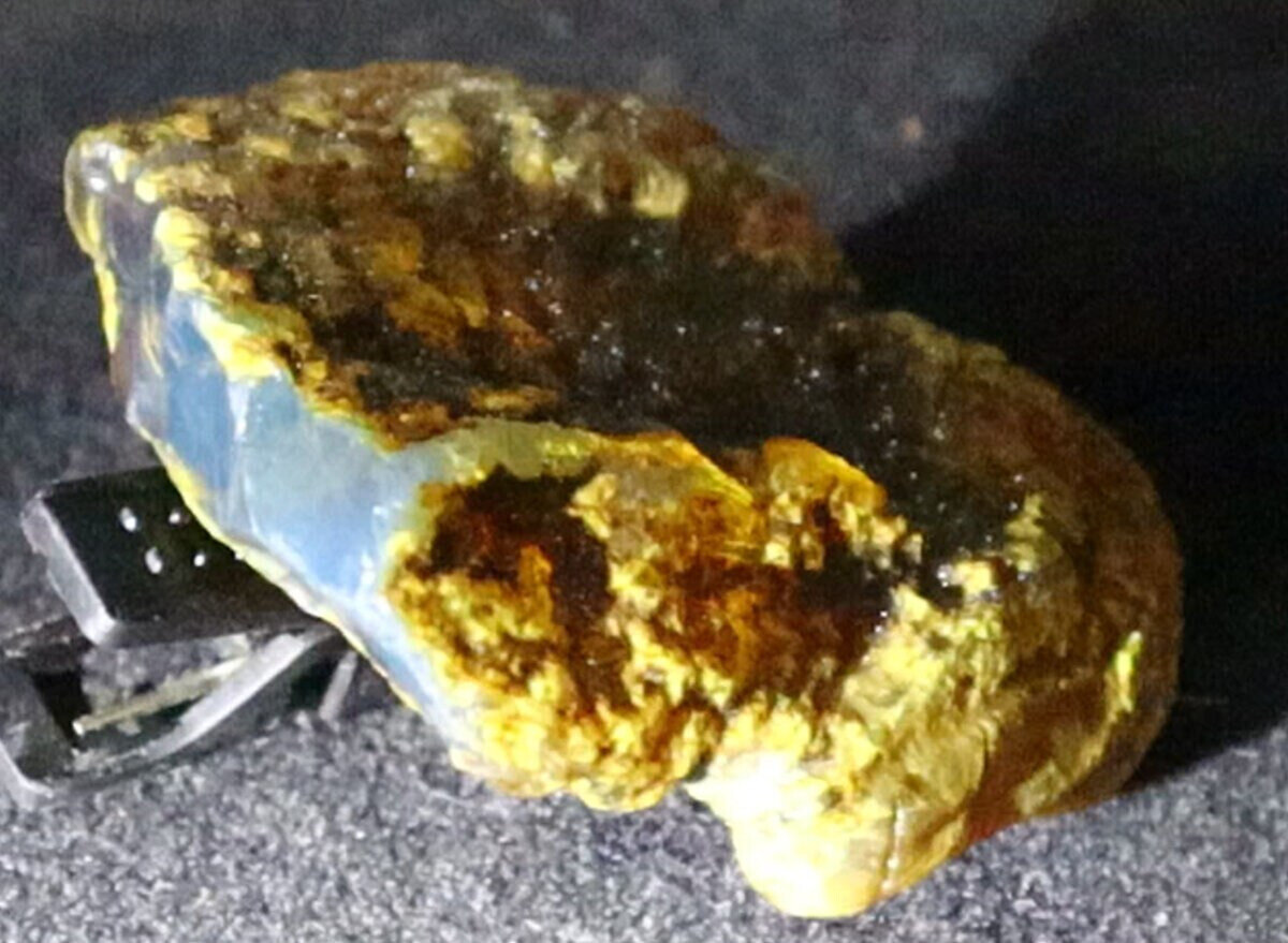 Natural Dominican Blue Amber Rough Specimen 42mm 10g Clear – photo 8