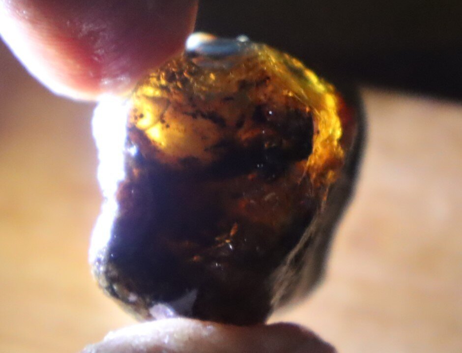 Exquisite Natural Dominican Translucent Deep Blue Amber Rough Specimen 42mm 12.8 – photo 16