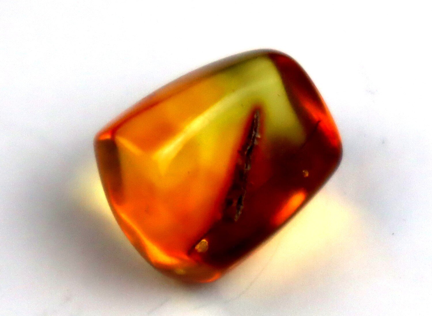 Natural Dominican Amber Polished 15mm with parasitic wasp insect fossil – photo 3