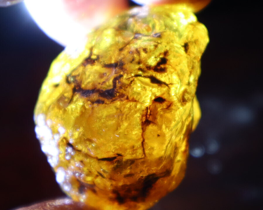 Natural Dominican Crystal Clear Light Blue Yellow Amber Rough Specimen 40mm 20.5 – photo 8