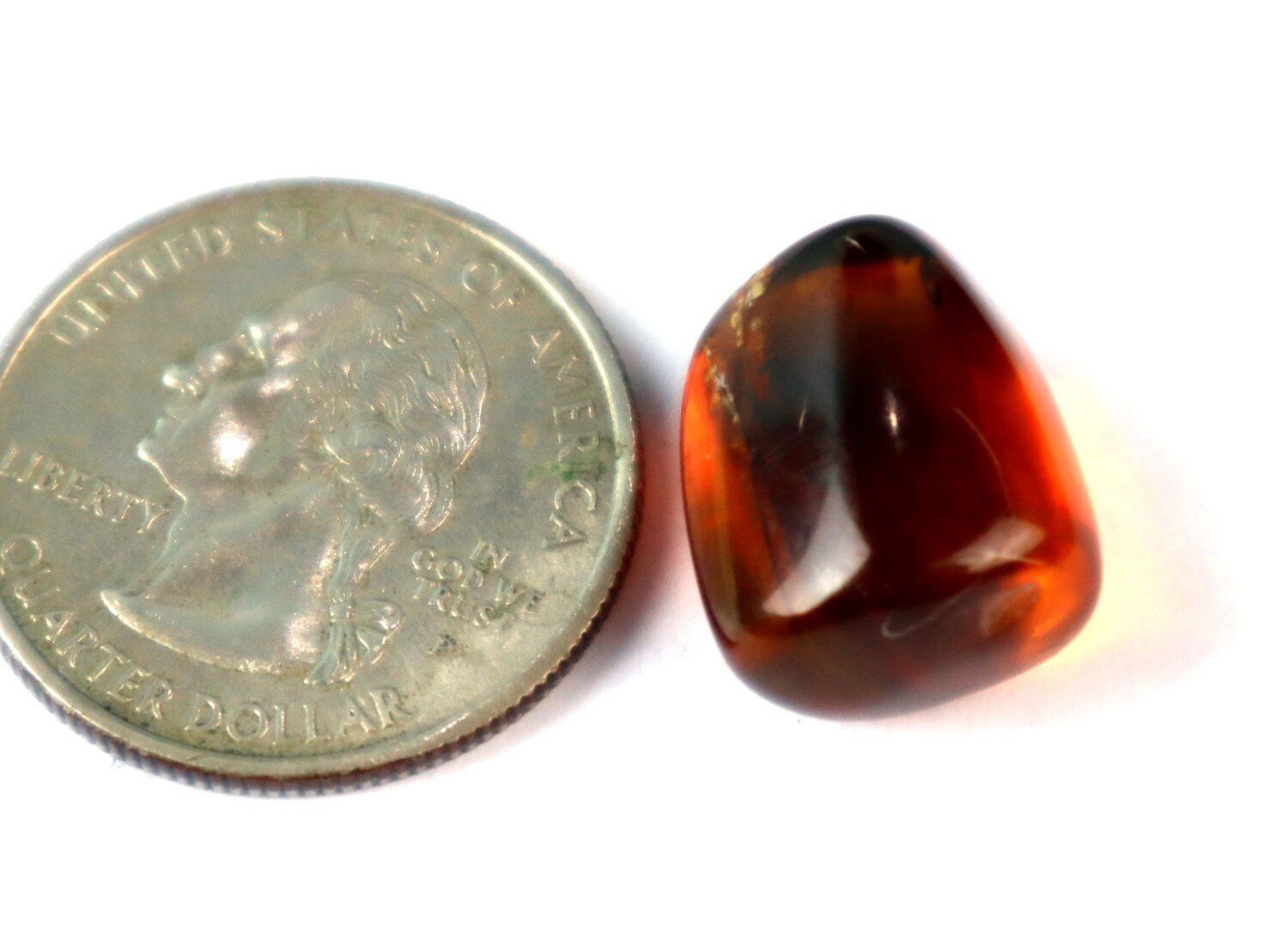 Natural Dominican Clear Amber – Polished Stone with Wasp Inclusion (Hymenoptera) – photo 6