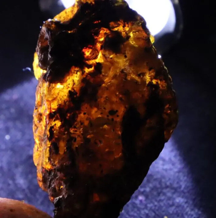 Finest Natural Dominican Translucent Sky Blue Amber Rough Specimen 43mm 14g – photo 7