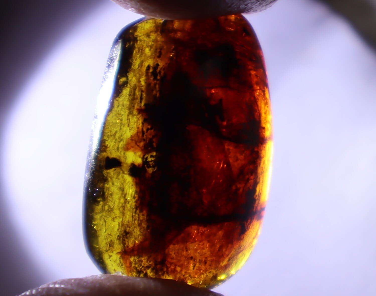 Natural Dominican Translucent Green Yellow Amber Polished Cabochon 23mm – photo 11