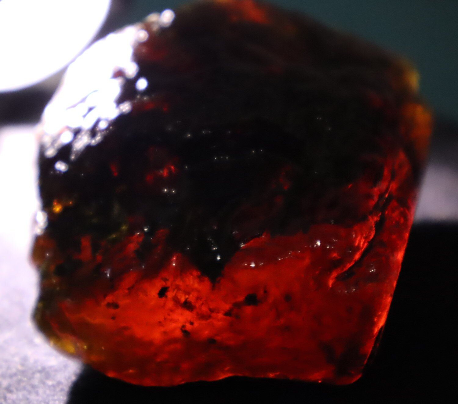 Natural Dominican Translucent Cognac Green Amber Rough Specimen 61mm 73.3g – photo 4