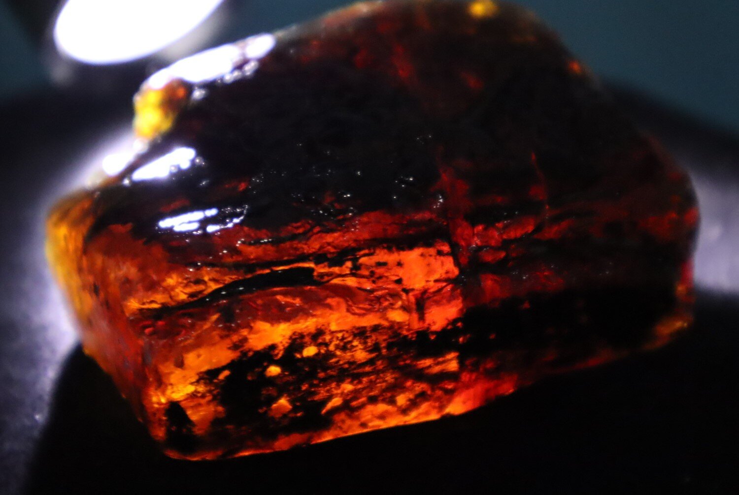 Natural Dominican Translucent Cognac Green Amber Rough Specimen 61mm 73.3g – photo 5
