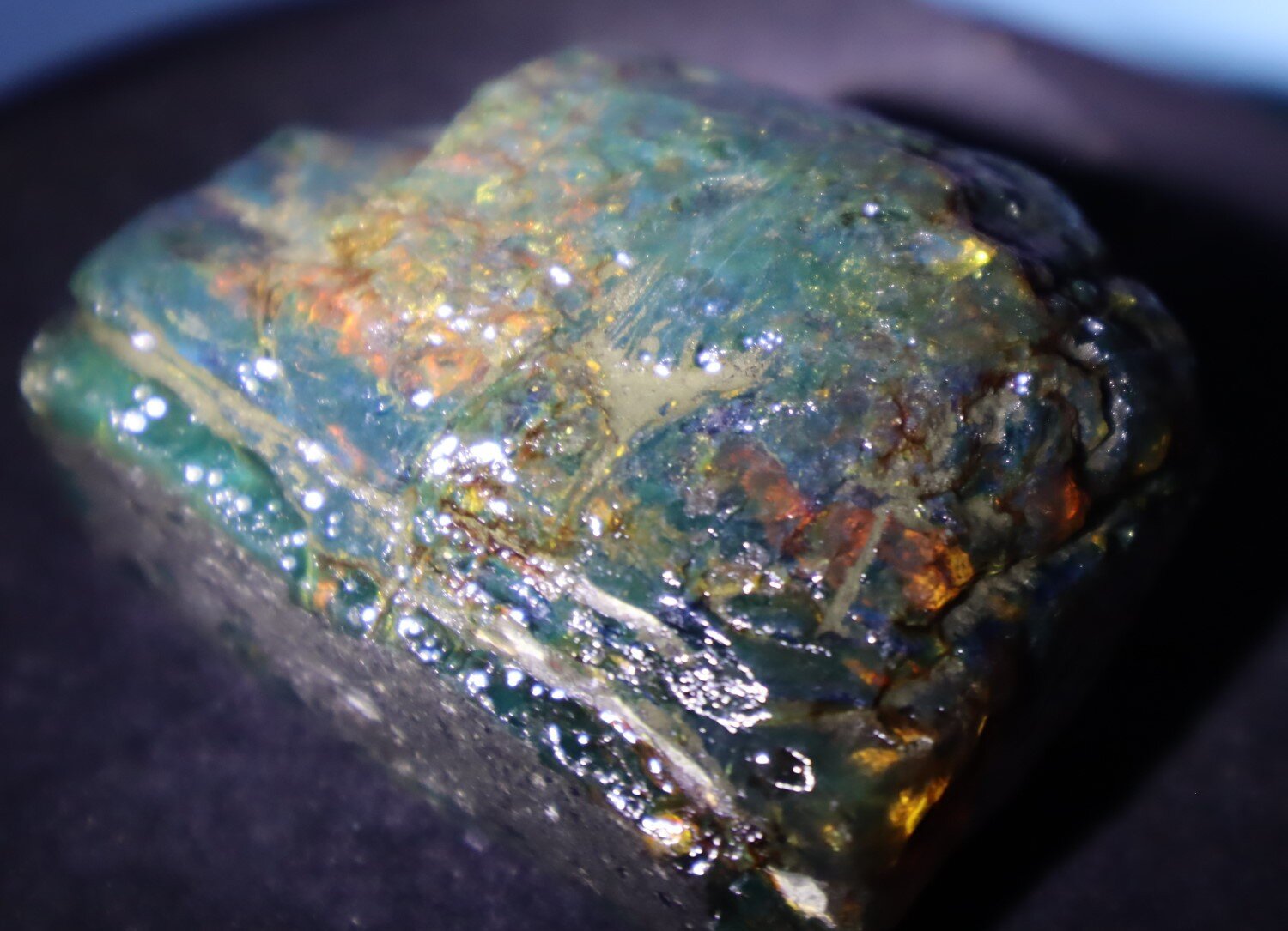 Natural Dominican Translucent Cognac Green Amber Rough Specimen 61mm 73.3g – photo 9